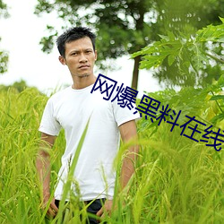 网爆黑料在线