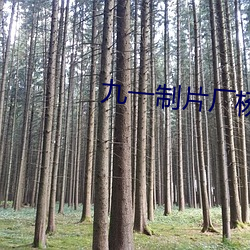 九一制片厂杨柳视频