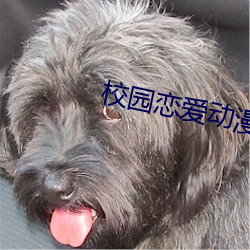 校园恋爱动漫