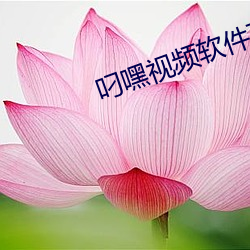 叼嘿视频软件下载