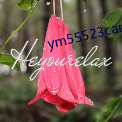 ym55523can