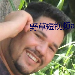 野草短视频app下载