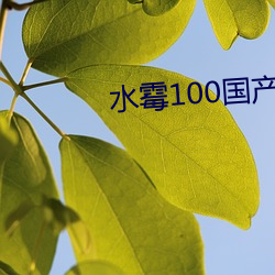 水霉100国产(産)破解