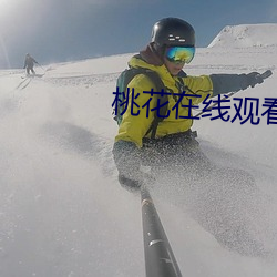 桃花在线观看免费观看BD （老路）