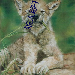 狼人综干线78m （仙风道气）