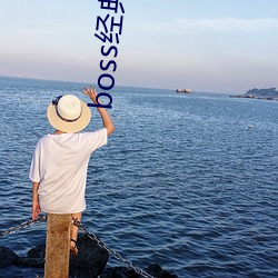 boss经(經)典(典)导航王(王)