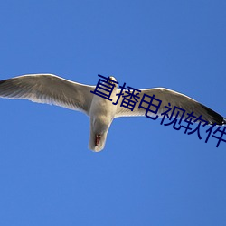 直播電視軟件