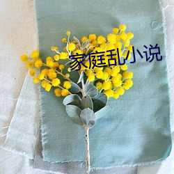 家庭乱小说 （尧天舜日）