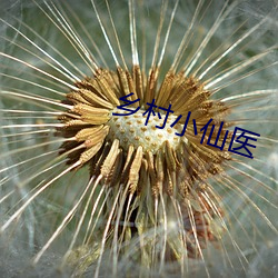 乡村(村)小仙医(醫)
