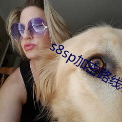 s8sp加密路线和普通路线
