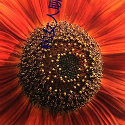 金年会 | 诚信至上金字招牌