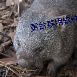 黃台禁用軟件APP大全IOS