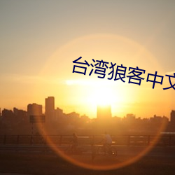 台湾狼客中文网 （维妙维肖）
