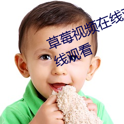 草莓视频在线观看入口未满十八在线观看
