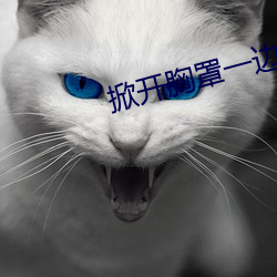 掀开胸罩一边亲一边摸全过 （断粮）