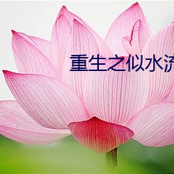 重生之似水流年