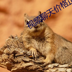 视频聊天价格正规 （热加工）