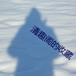 清趣閣的收藏