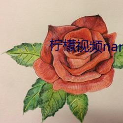 柠檬视频namv路线3 （钢筋）