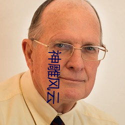 神雕风云