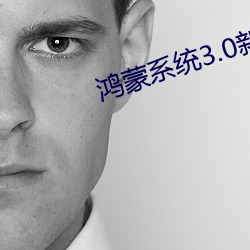 鸿蒙系统3.0新功能