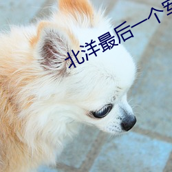 北洋(yáng)最后一(yī)个军阀