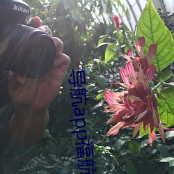 尊龙凯时-人生就是搏!