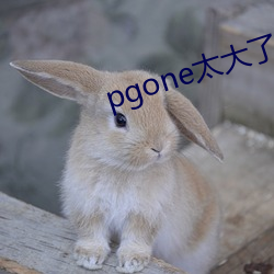 pgone太(太)大了(了)兽王免费视