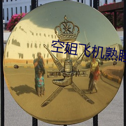 空姐(jiě)飞机熟睡