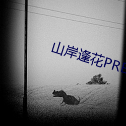 山岸逢花PRED