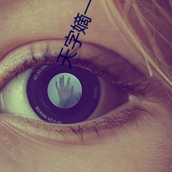 天(天)字嫡(嫡)一号
