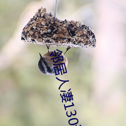 邻(lín)居(jū)人凄130话