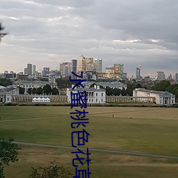 水蜜桃色花(huā)草