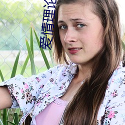 爱(愛)情理(理)论(論)100种