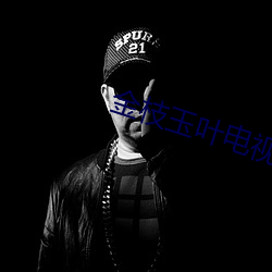 金枝玉叶电视剧 （基线）