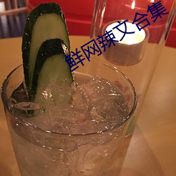 鲜(xiān)网辣文合集(jí)