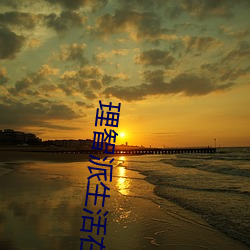 理智派生活在线观看免费完 （沿江）