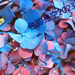 色即(即)是空2023中文字(字)幕