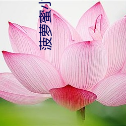 菠(bō)萝蜜小视频