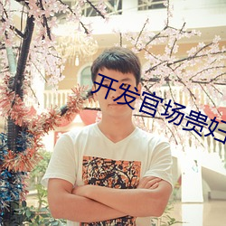 开发官场贵(guì)妇的菊花