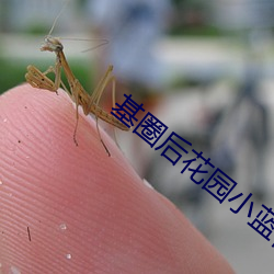 基圈后花园小蓝视频原