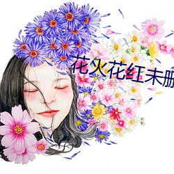 花火花红(hóng)未删(shān)减版