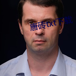 唐磚txt下載