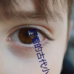 好(好)看的古代小说
