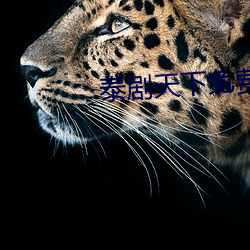 泰剧天下免费观看