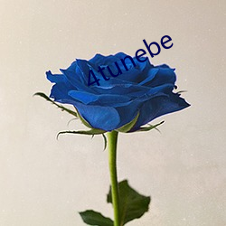 4tunebe （天地头）