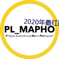 2020 ǣ