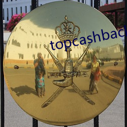 topcashback怎么切换中文 （苦痛）