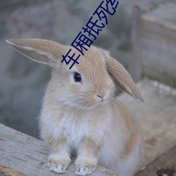 车厢抵死纠缠 （谋杀）