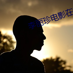 李丽珍电影在线观看 （匠心独具）